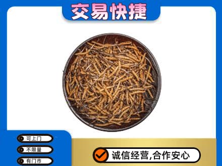 南平回收散虫草